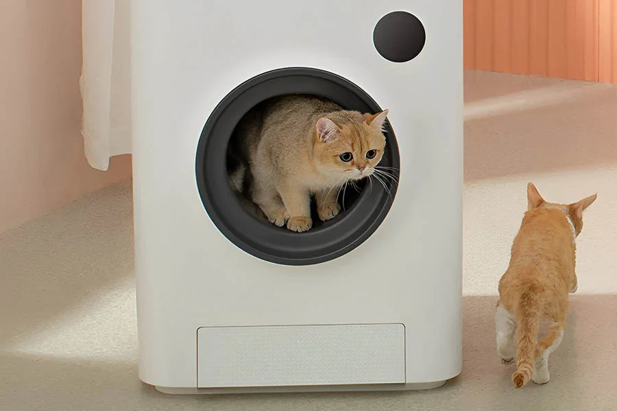 petsafe scoopfree self cleaning litter box