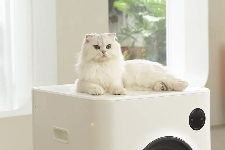 smell free litter box