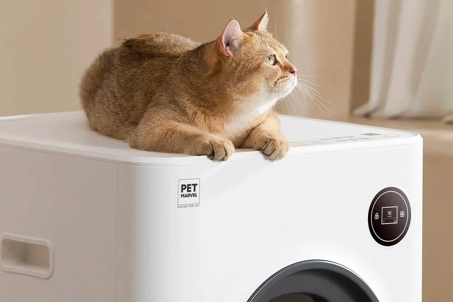 odourless litter box