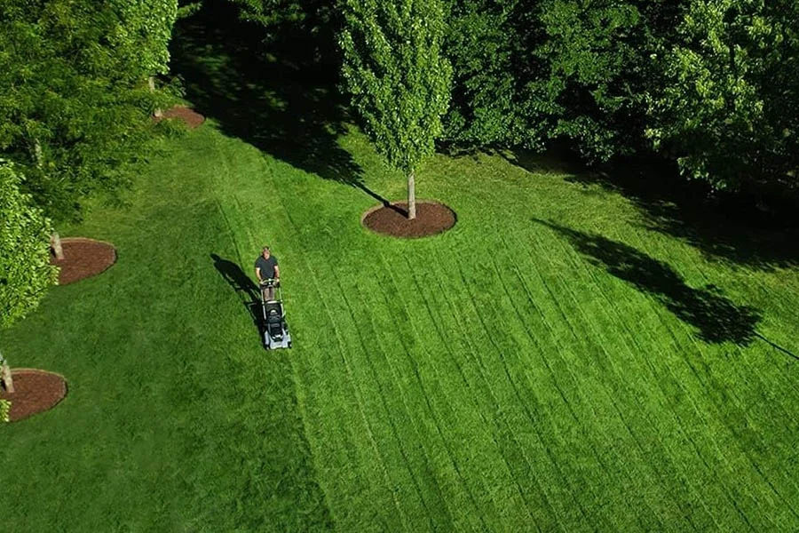 best self-propelled lawn mower