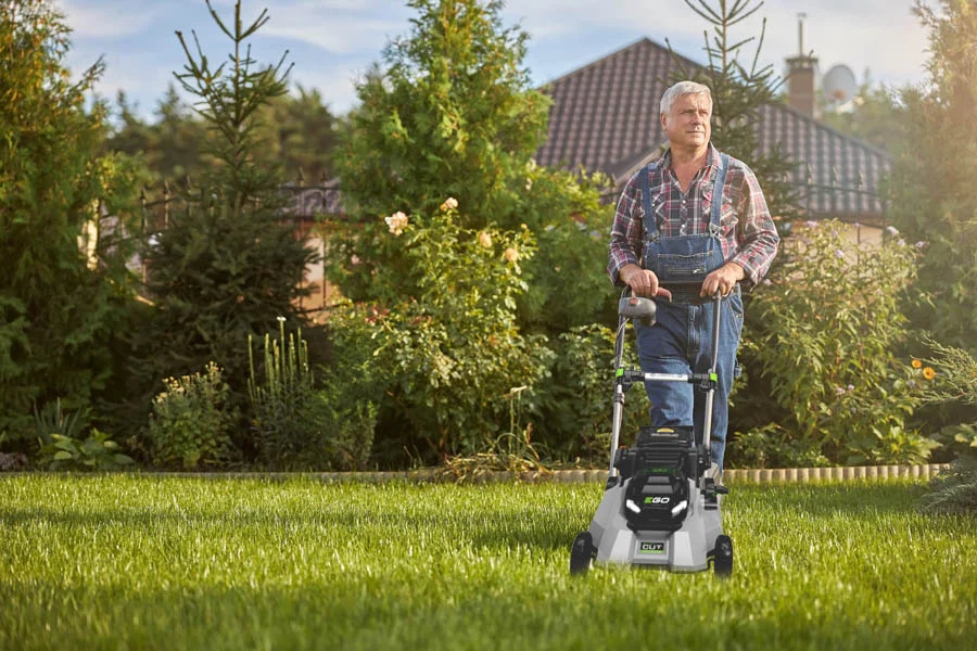 self propelled push lawn mowers